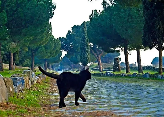 Appia Felis Отель типа "постель и завтрак" 4*